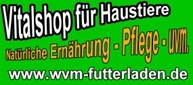 index.html